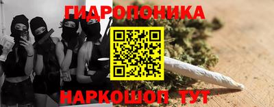 стаф Ставрополь