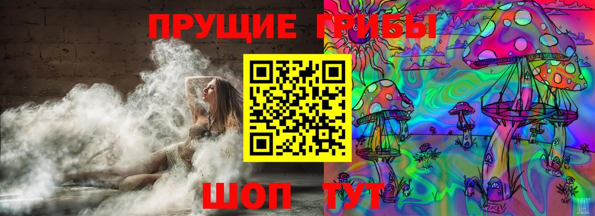 Галлюциногенные грибы мицелий  купить   Псков  Вход с VPN 